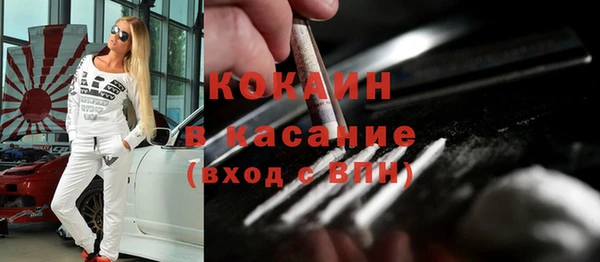 прущие грибы Бородино