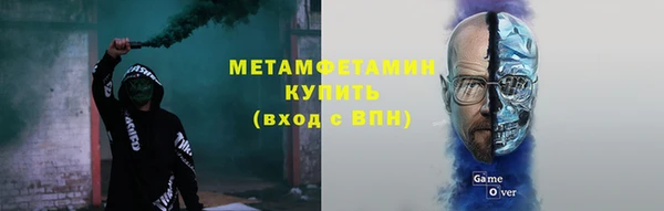прущие грибы Бородино