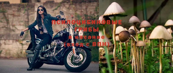 PSILOCYBIN Бугульма