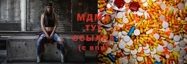 прущие грибы Бородино