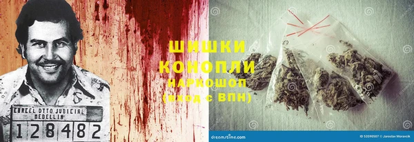прущие грибы Бородино