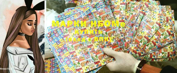 прущие грибы Бородино