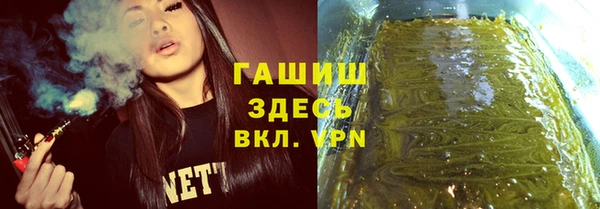 прущие грибы Бородино