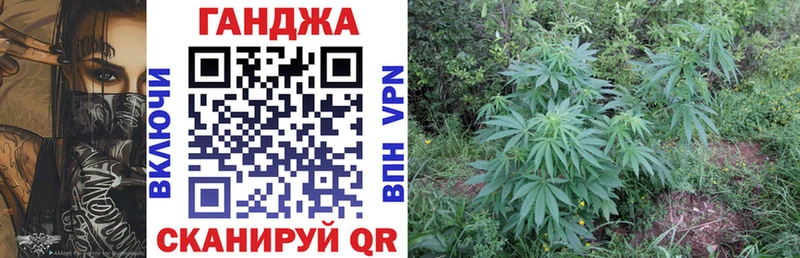 Бошки Шишки конопля  Новохопёрск 